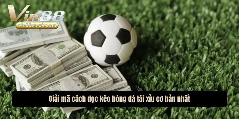 Giải mã cách đọc kèo bóng đá tài xỉu cơ bản nhất