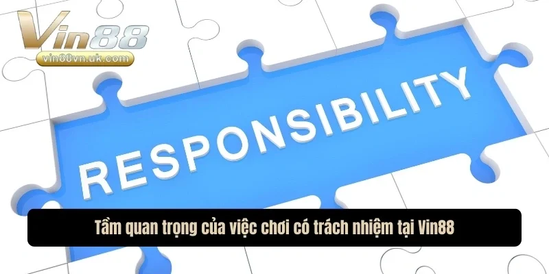 Tầm quan trọng của việc chơi có trách nhiệm của các thành viên tại Vin 88
