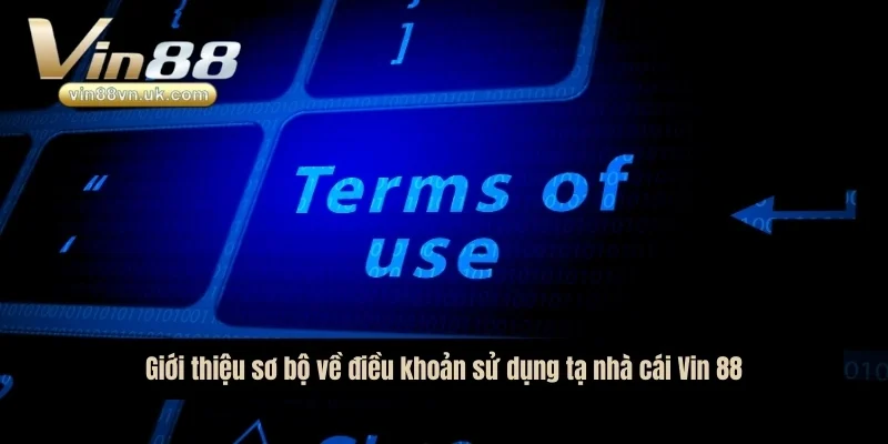 Giới thiệu sơ bộ về điều khoản sử dụng tạ nhà cái Vin 88