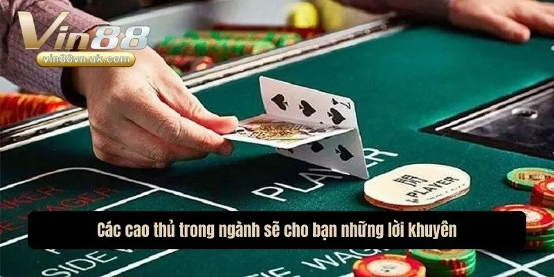 Các cao thủ trong ngành sẽ cho bạn những lời khuyên